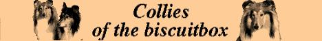 Collies of the biscuitbox