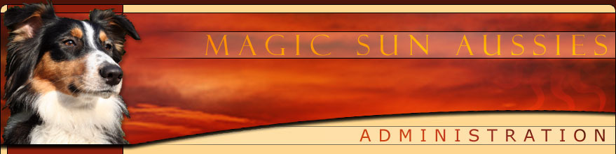 Magic-Sun-Aussies