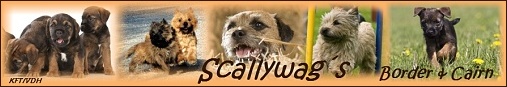 Scallywag´s