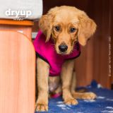 dryup® cape Mini PINK