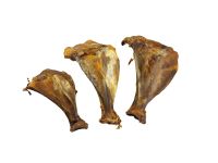 Schulterblatt vom Hirsch