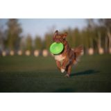 Flyber Frisbee