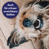 Canosept Zahnpflege-Set für Hunde