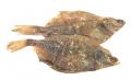 Flunder, getrocknet